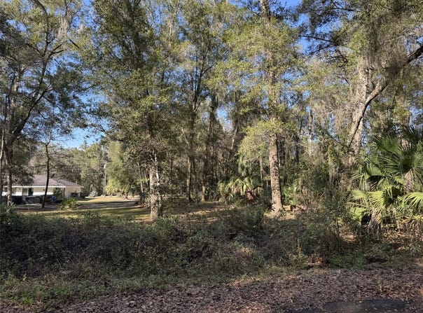 SEQUOIA LOOP Track, OCKLAWAHA, FL 32179