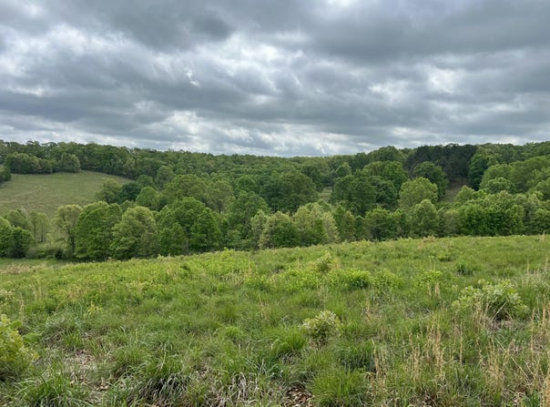 Co Rd 321 Route 5, Ava, MO 65608