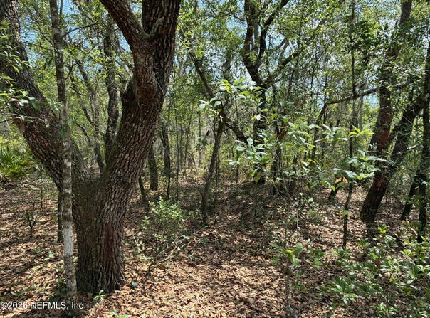 DONOVAN Avenue, Interlachen, FL 32148