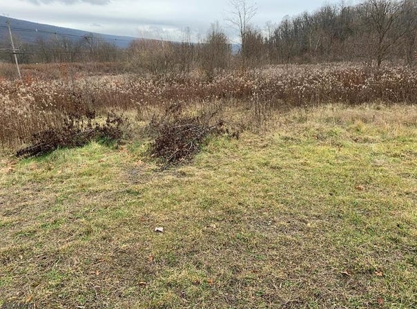 E Pleasant Valley Blvd., Stad Drive lot: #5, Bellwood, PA 16617
