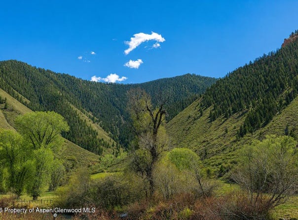 123 Wapiti Way, Basalt, CO 81621