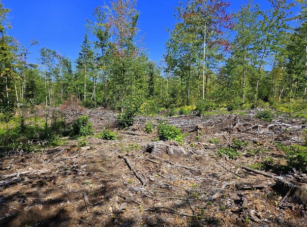 Cape Cod Hill Road lot: 33-2, New Sharon, ME 04955