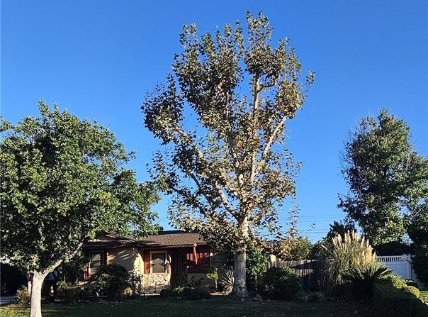 1323 E Bennett Avenue, Glendora, CA 91741