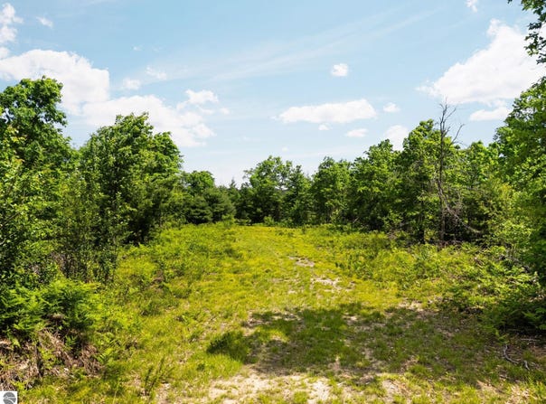 4011 W Forest Road, Lake City, MI 49651