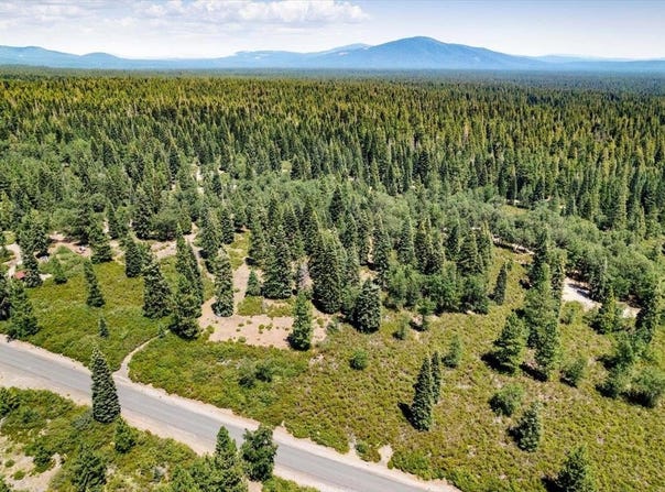 2-D-31 Snowline Dr., McCloud, CA 96057