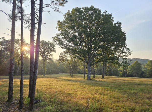 County Road 235, Drury, MO 65638