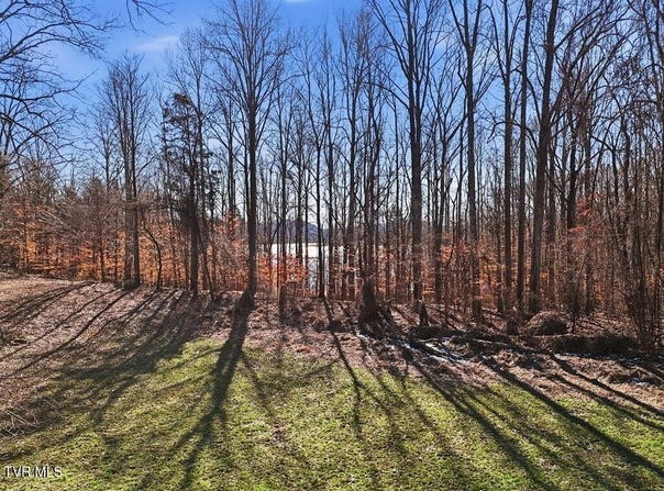 141 Red Cloud Lane, Rutledge, TN 37861