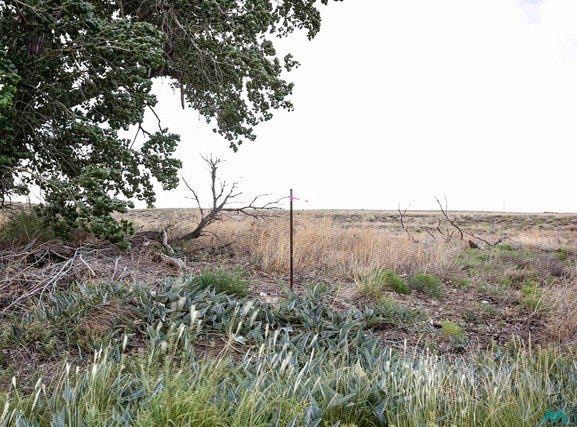 Sandhill Ave, Roswell, NM 88201