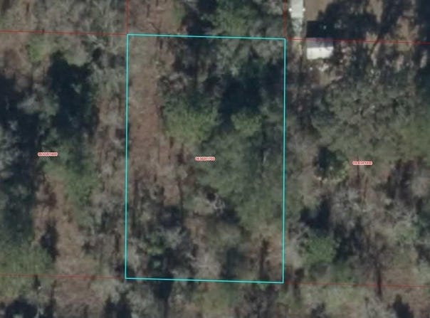 0930201700 NE 16TH LANE, WILLISTON, FL 32696