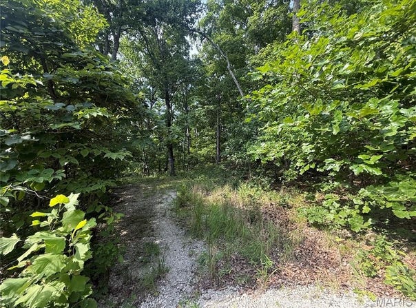 E Swaller Road, Imperial, MO 63052