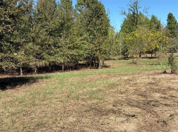 920 County Road 1226, Quitman, TX 75783