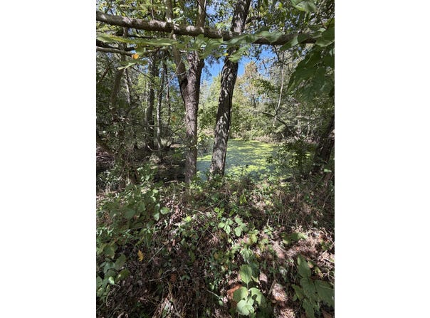 State Route 121, Bardwell, KY 42023