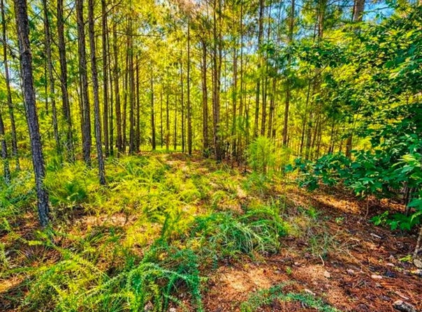 406 Terrapin Pointe Road, Hodges, SC 29563