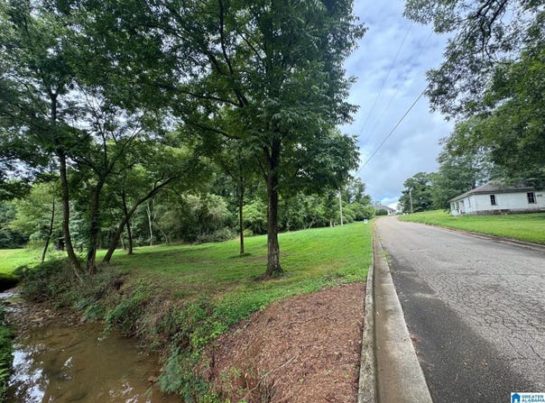 5TH AVENUE lot: 1.6 Acres, ASHLAND, AL 36251