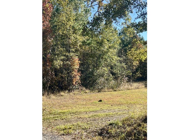 Saint Julian Drive, Cross, SC 29436