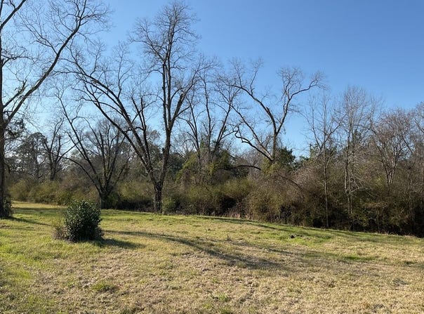 600 E First St, LUVERNE, AL 36049