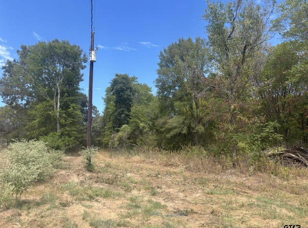 CR 2222, Pittsburg, TX 75686
