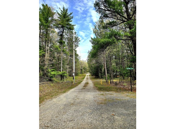 Topping Ave, Pentwater, MI 49449