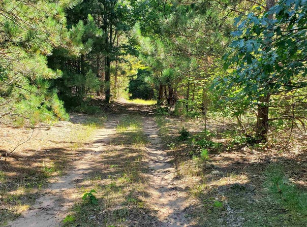 Marilla Road, Copemish, MI 49625