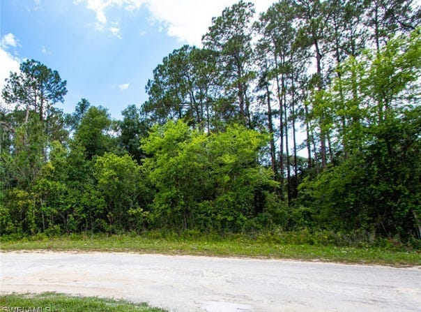 34160 Haas Drive, Webster, FL 33597