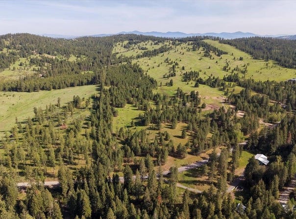 E Belmont Rd, Mica, WA 99023