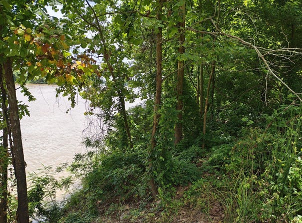Lapraire Rd, Marksville, LA 71351