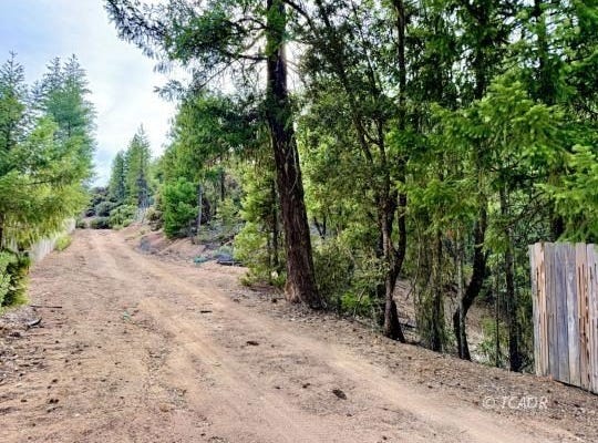 360 Sandridge Ct, Hayfork, CA 96041