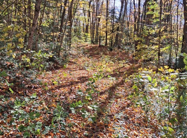 Oak Lane, Eden, VT 05652