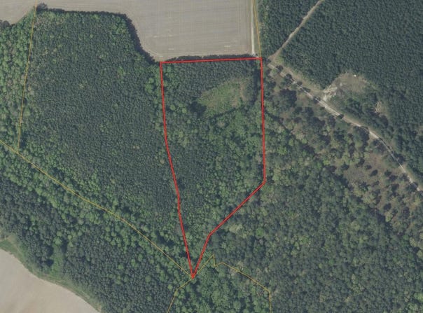 141 Tall Cotton Road, Murfreesboro, NC 27855