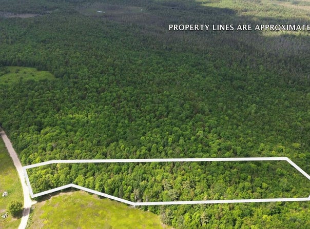 Lot 1 Martins Ridge Road, Franklin, ME 04634