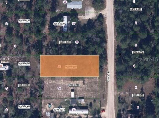 DAVE Street, INTERLACHEN, FL 32148