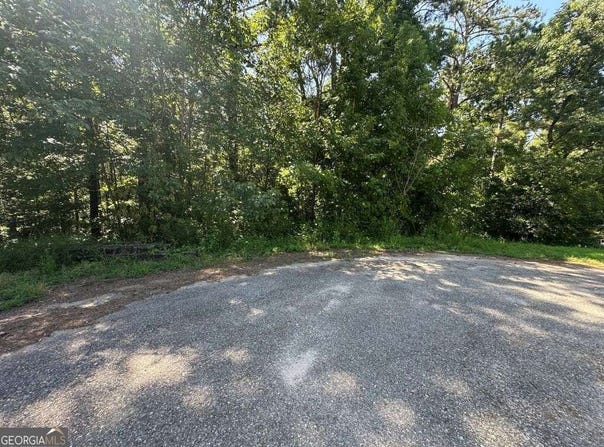 River Bend Drive, Carlton, GA 30627