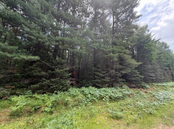 WATERSMEET LAKE RD lot: 2, Eagle River, WI 54521