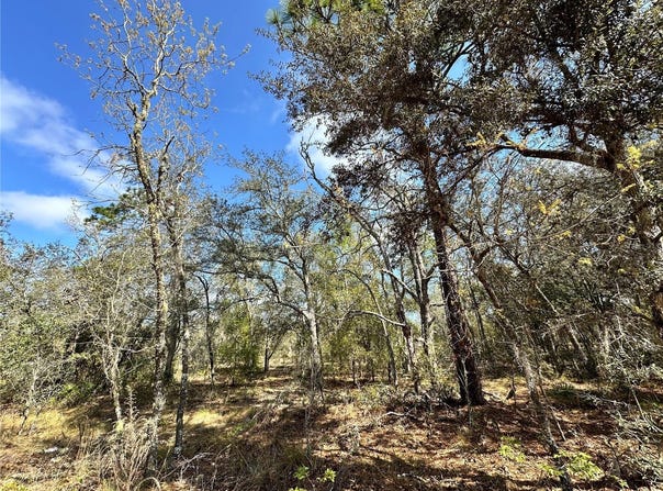 NE 68TH Place, BRONSON, FL 32621