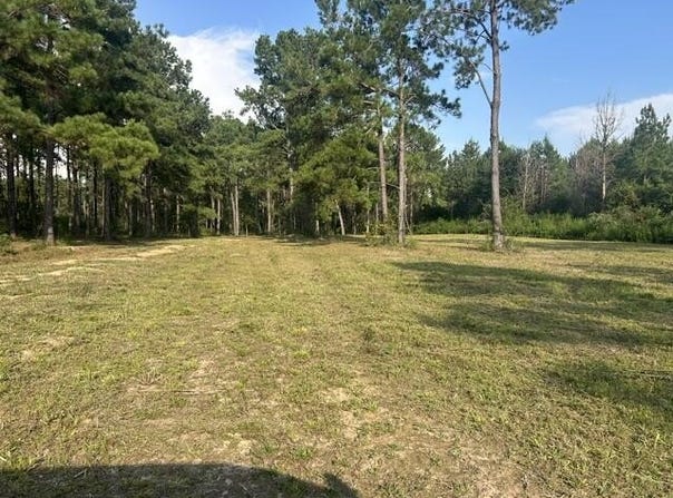 New Hope Rd, Sandy Hook, MS 39478