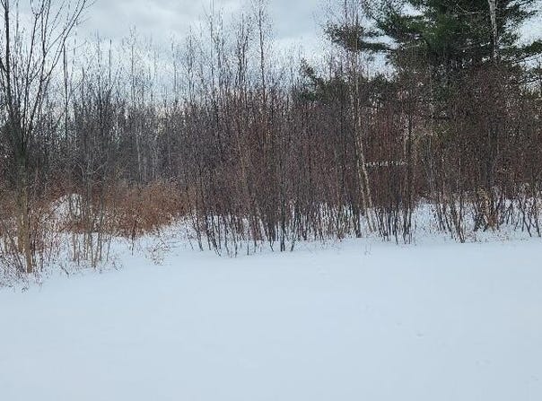 Country Lane, Lagrange, ME 04453