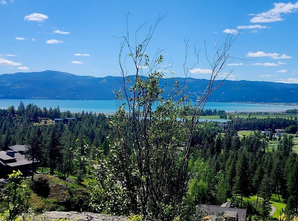 486 Hogue Drive, Bigfork, MT 59911