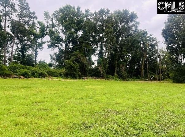 1161 Tom Moore Road, Leesville, SC 29070-0000