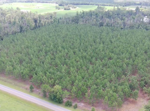 E Lucy Berge Road E, Hazlehurst, GA 31539