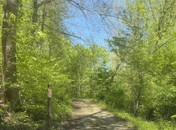 Anna Ln, Clairfield, TN 37715