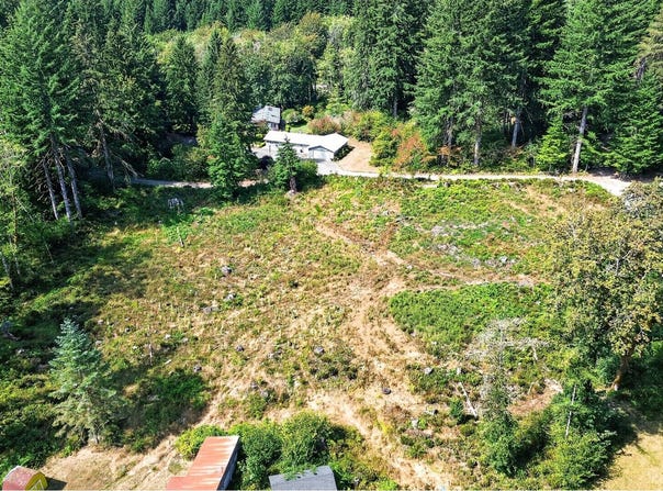DOG CREEK Rd, Cougar, WA 98616
