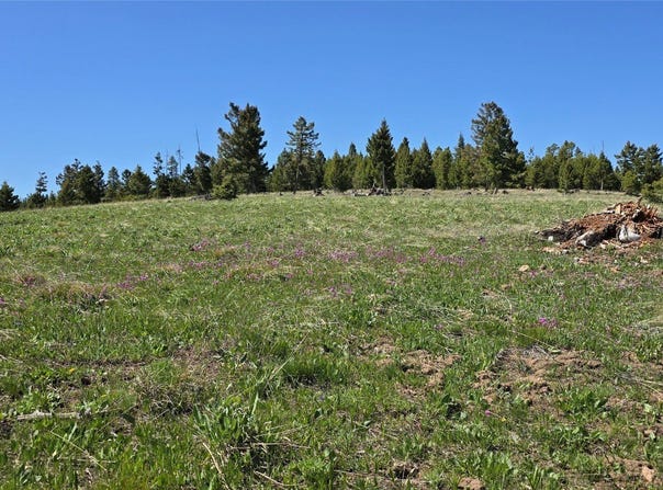 9 Tract, Garnet Range, Drummond, MT 59832
