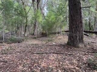 320 Coon Creek Road, Salyer, CA 95563