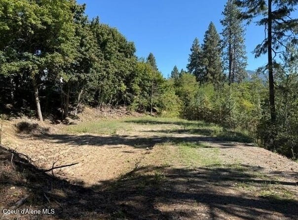 NNA (.393 ac.) 2nd St, Priest River, ID 83856