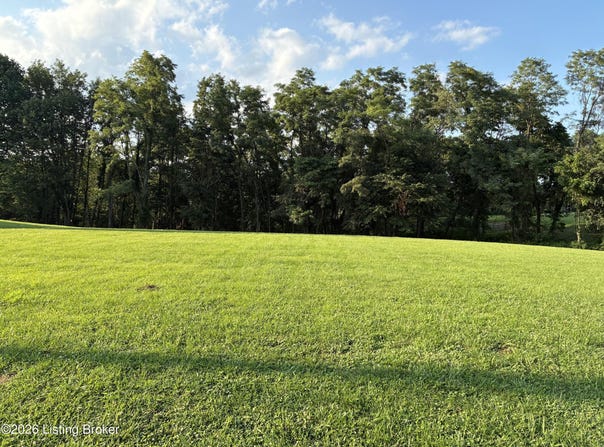 Button Ridge Rd, Bedford, KY 40006