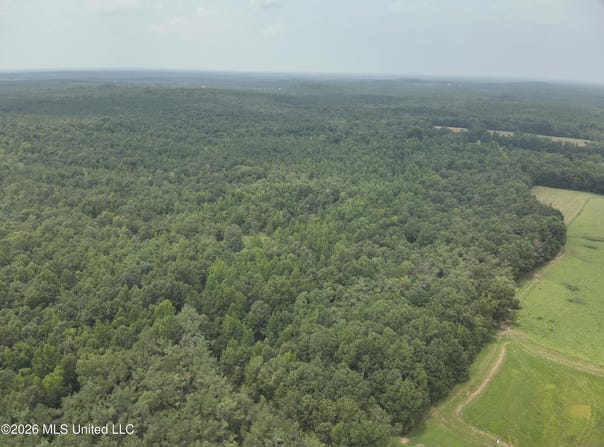 T K Lane, Pontotoc, MS 38863