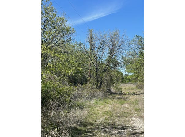 31 Julia, Bangs, TX 76823