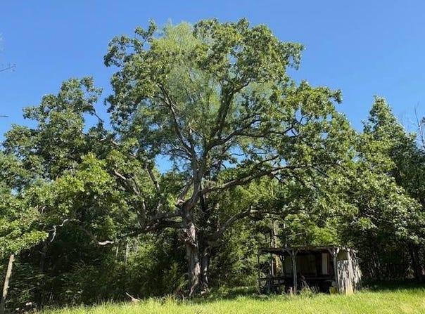 Barland Road, Pattison, MS 39144