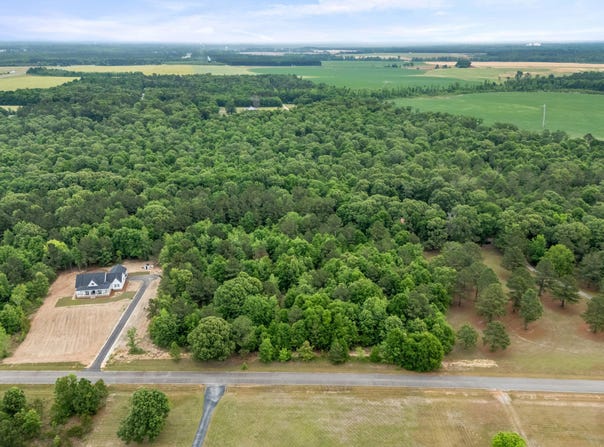 Sylvan Grove Road, Stapleton, GA 30823