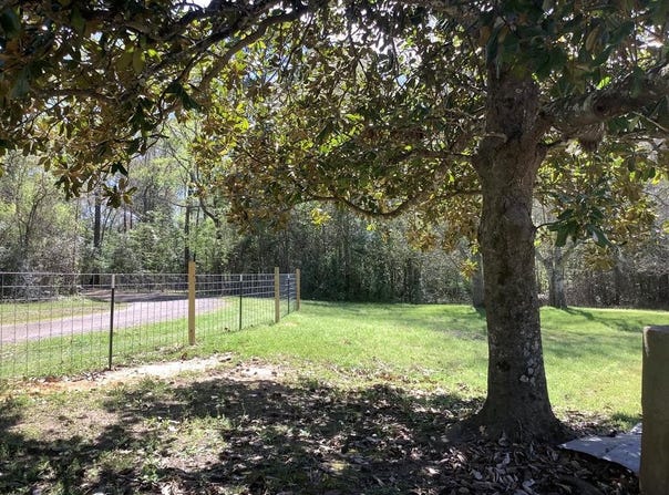894 CR 144, Jasper, TX 75951